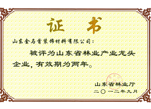 金馬首-山東省龍頭企業(yè)